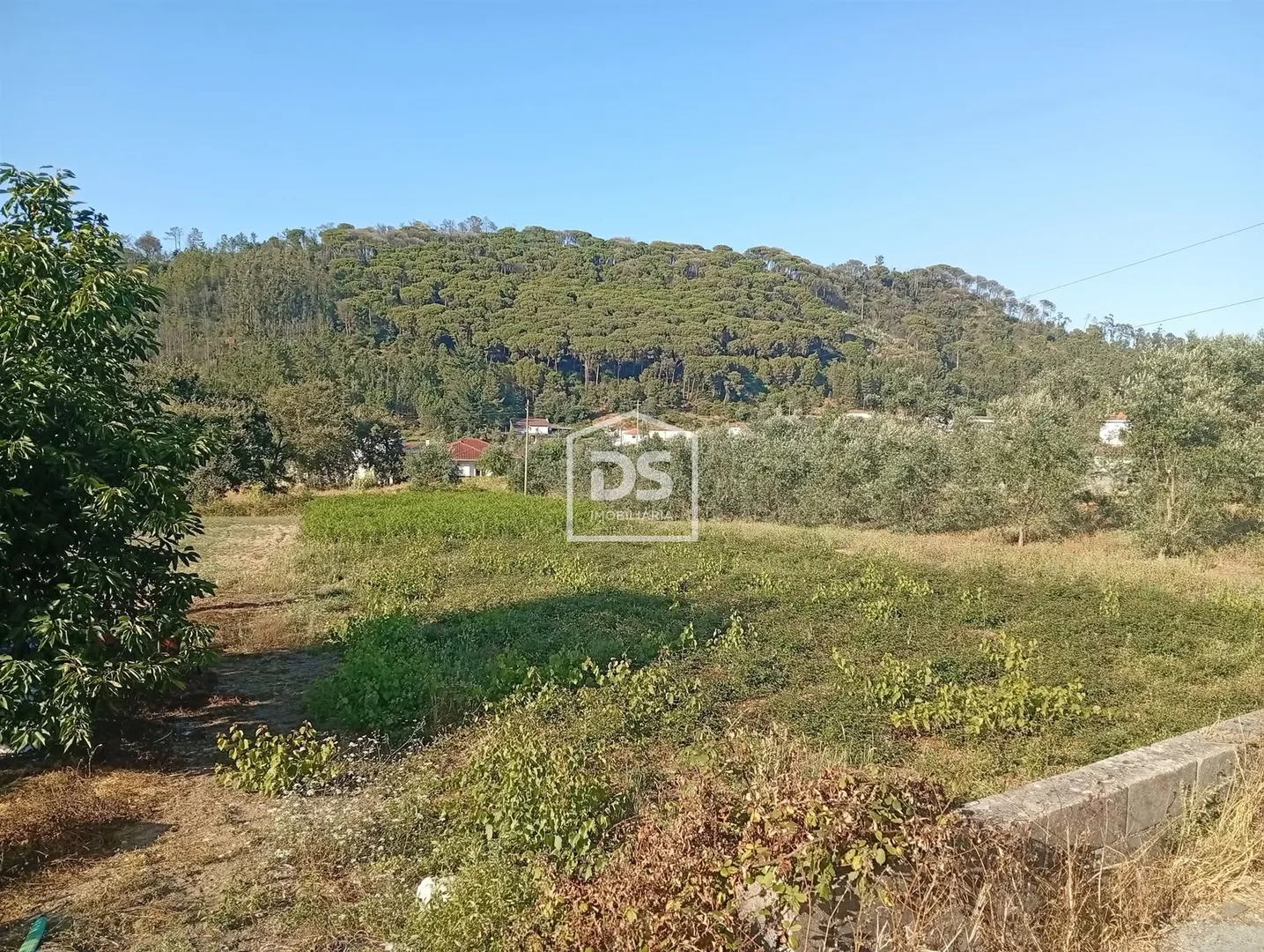 Lote de Terreno