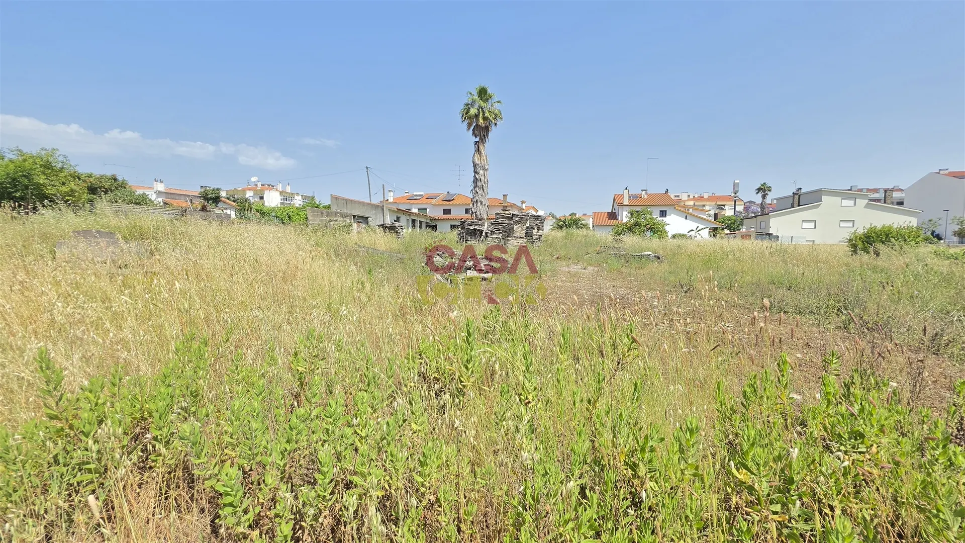 img_23
