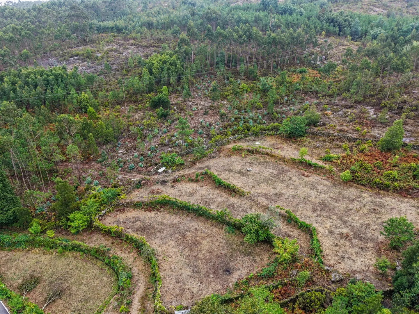 img_7