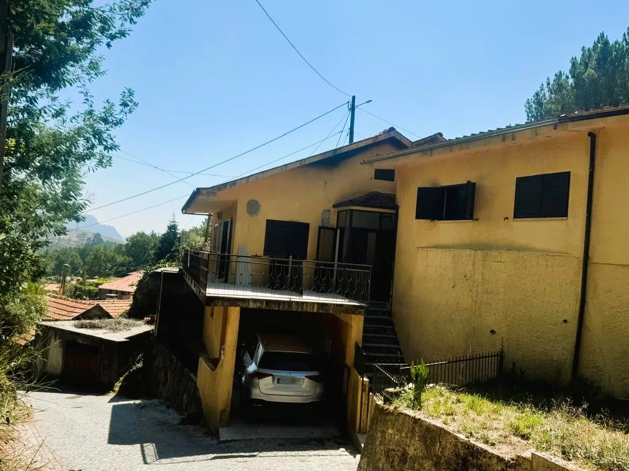img_1