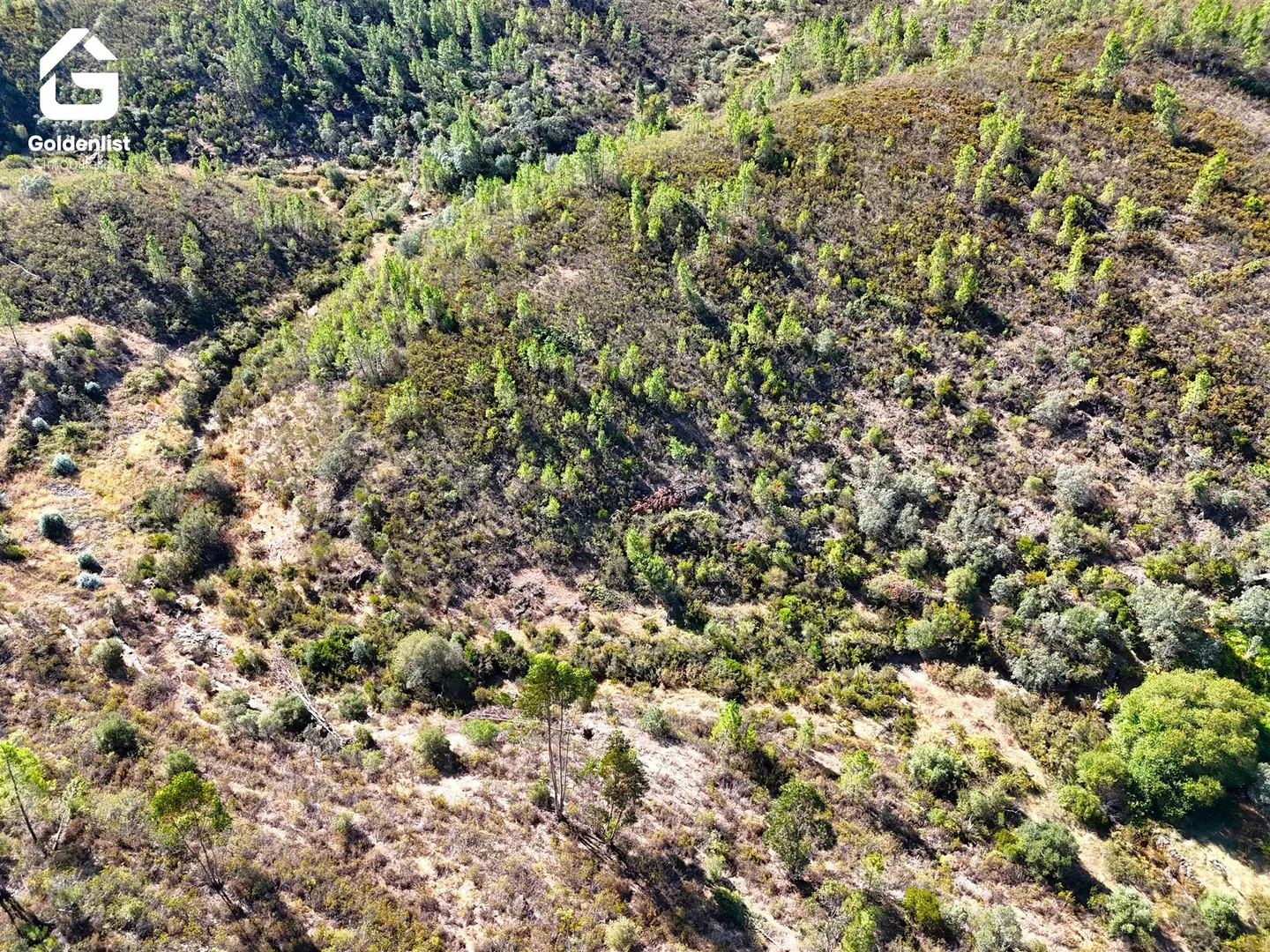 img_10