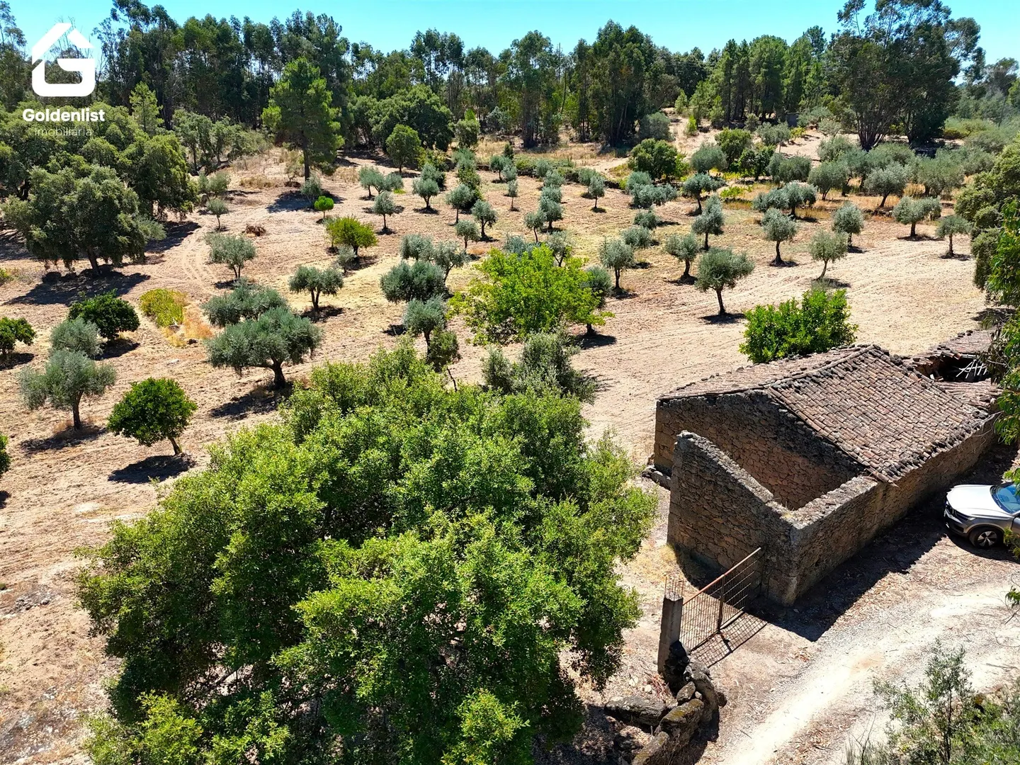 img_13