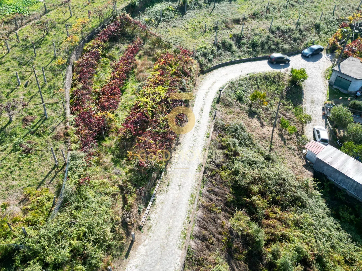 img_2
