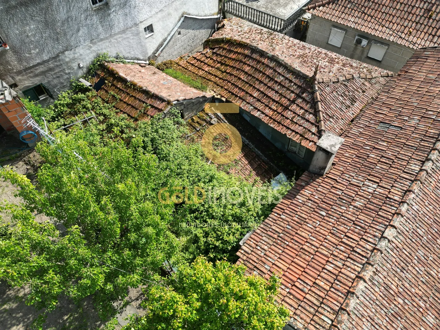 img_1