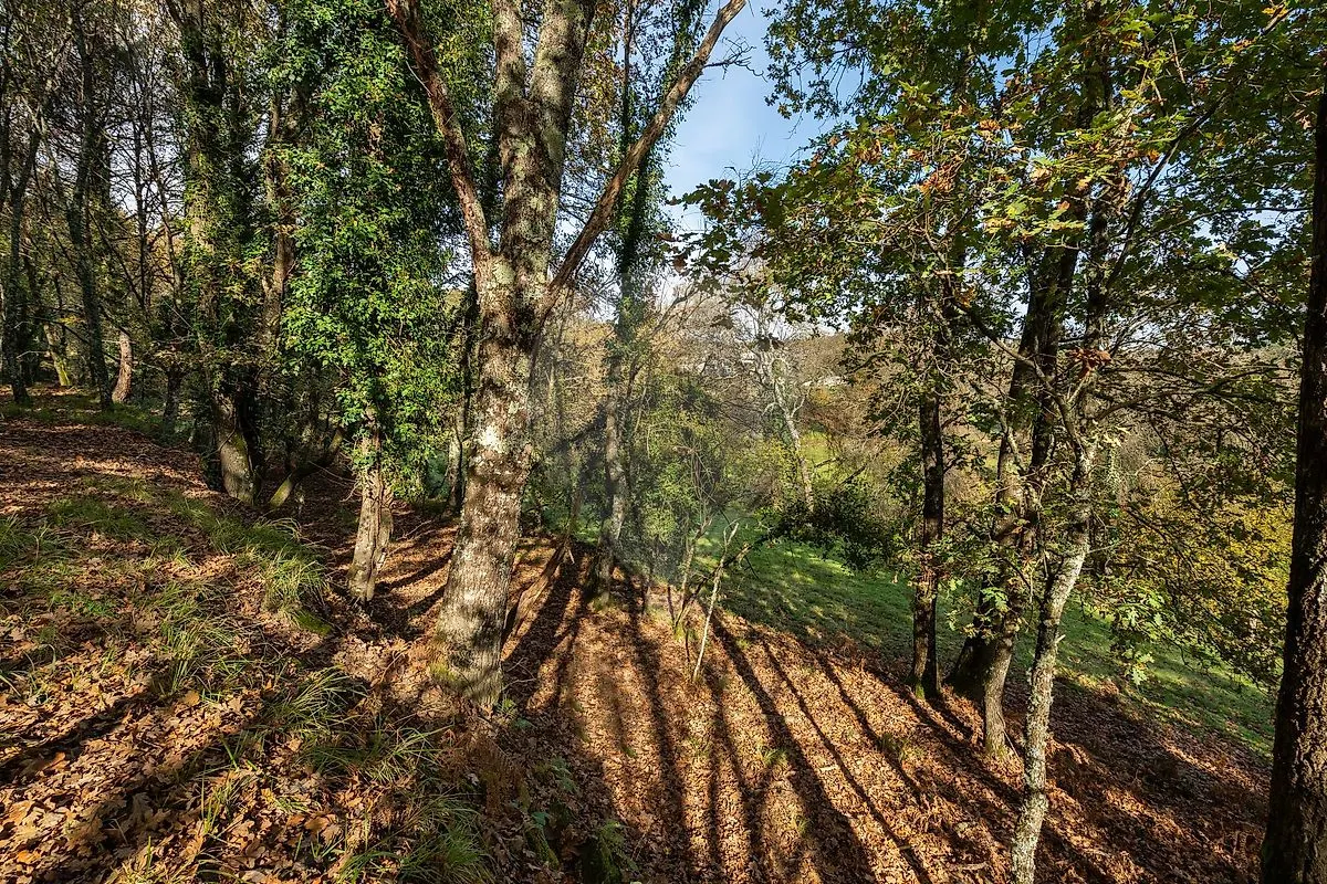 img_27