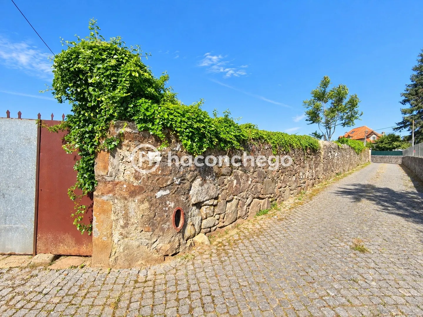 img_53
