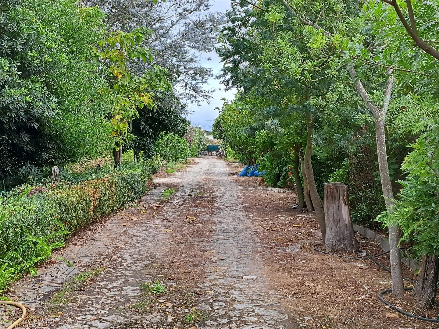 img_36