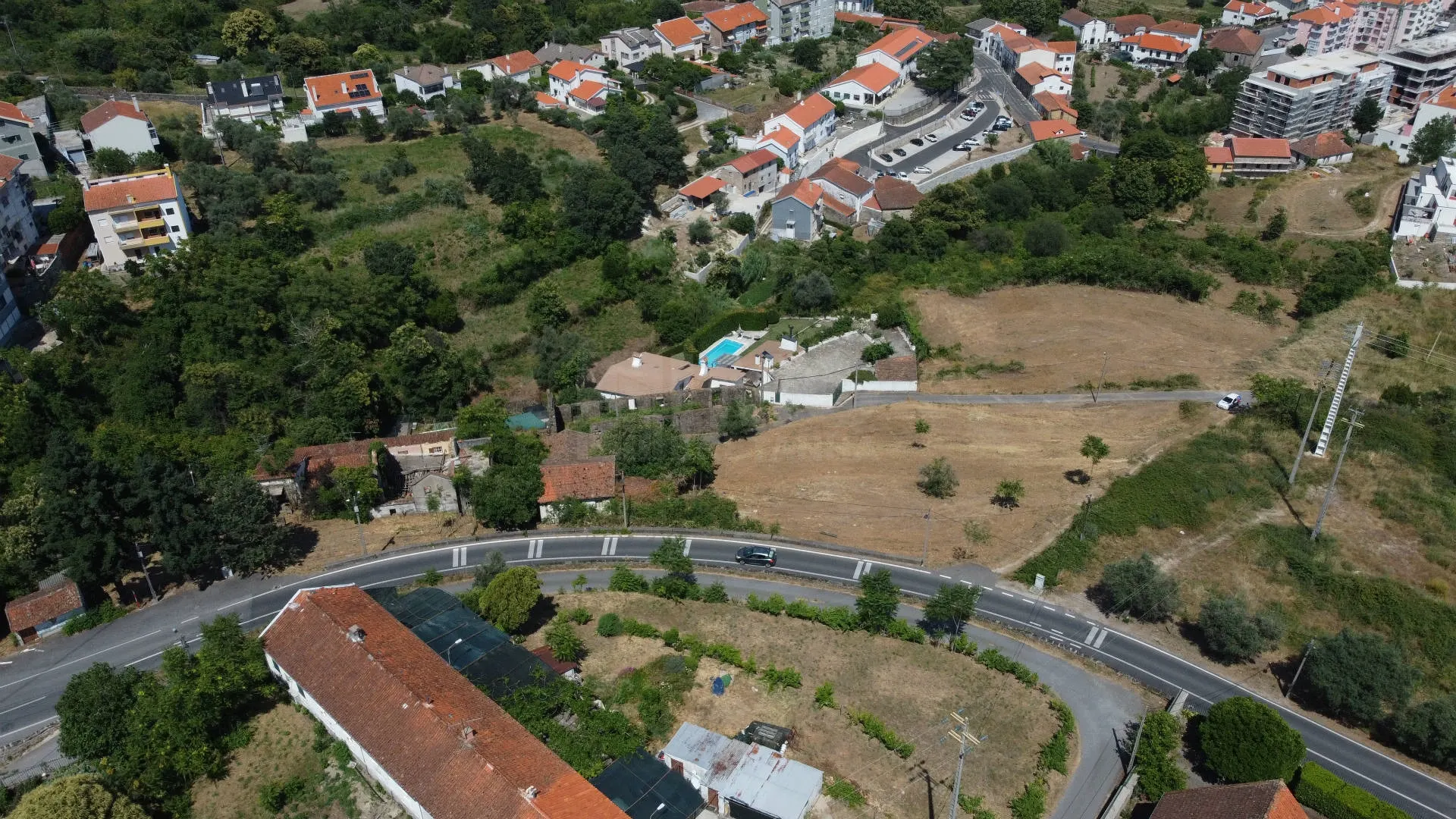 img_8