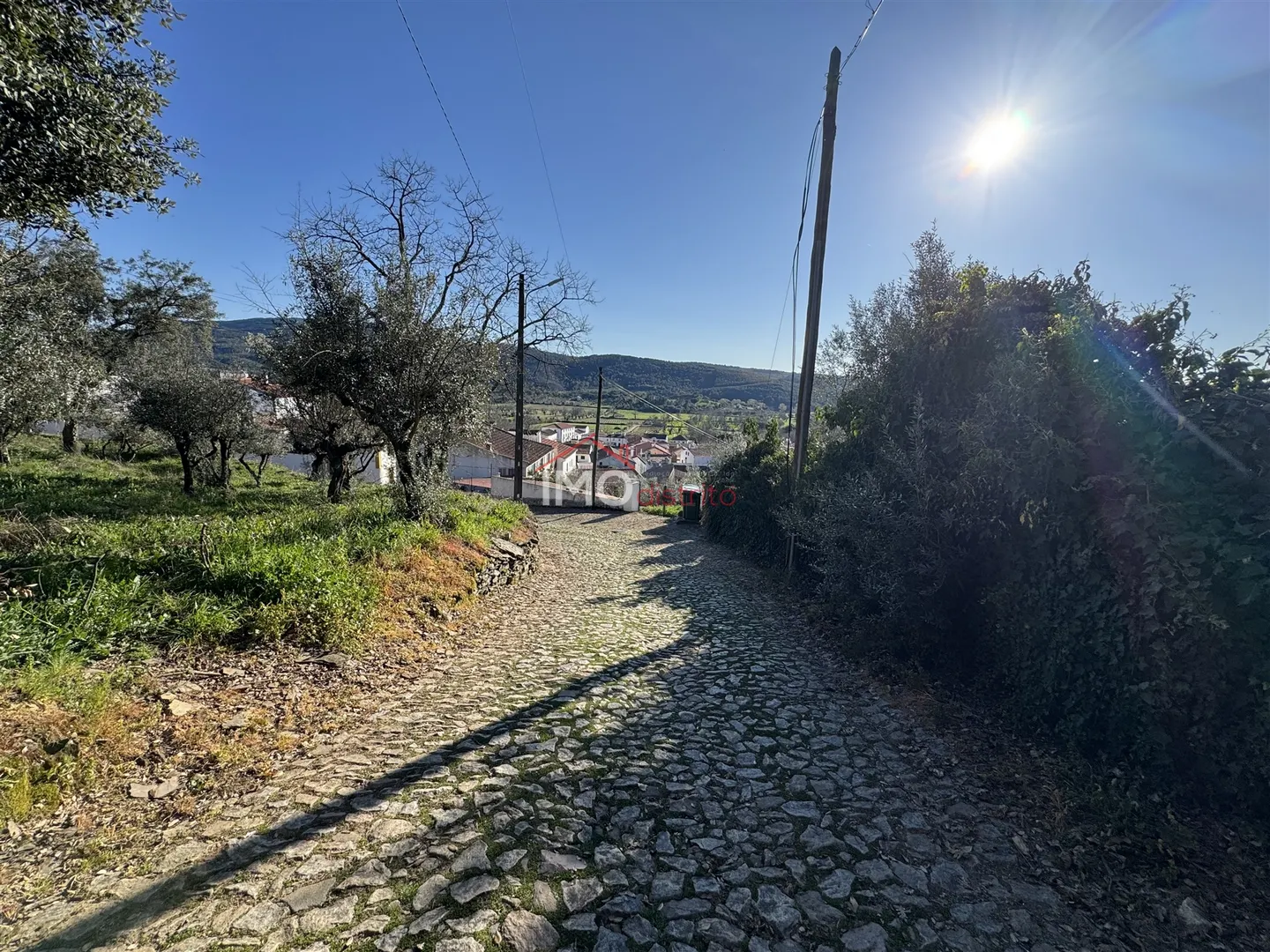 img_4