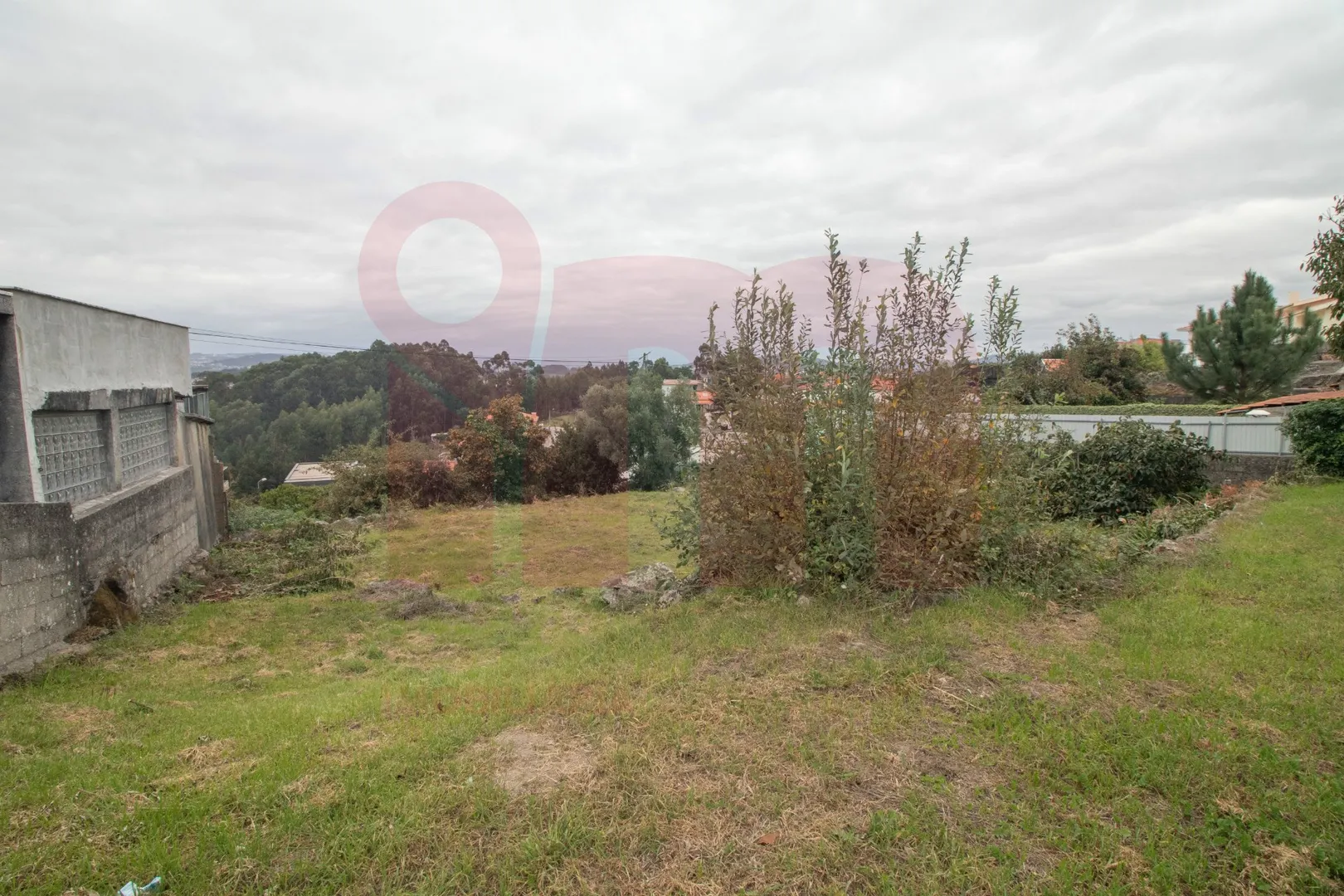 img_1