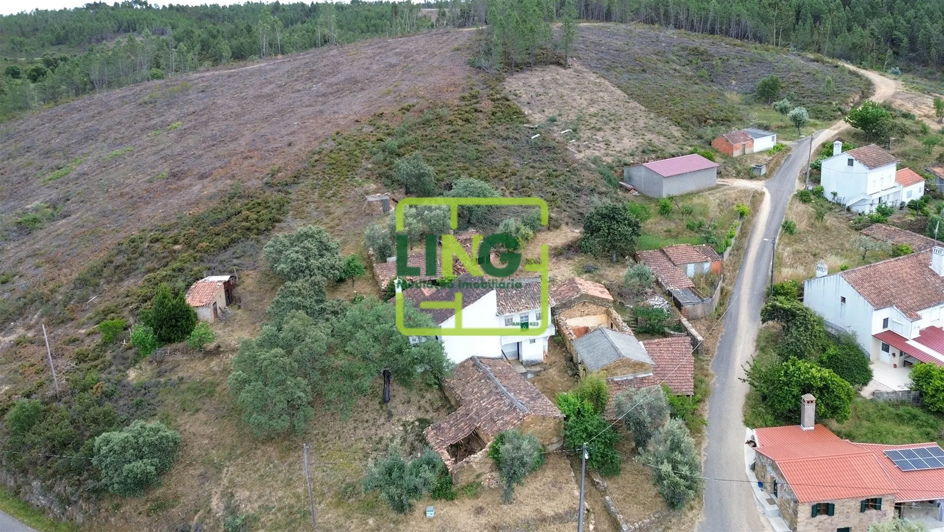 img_62