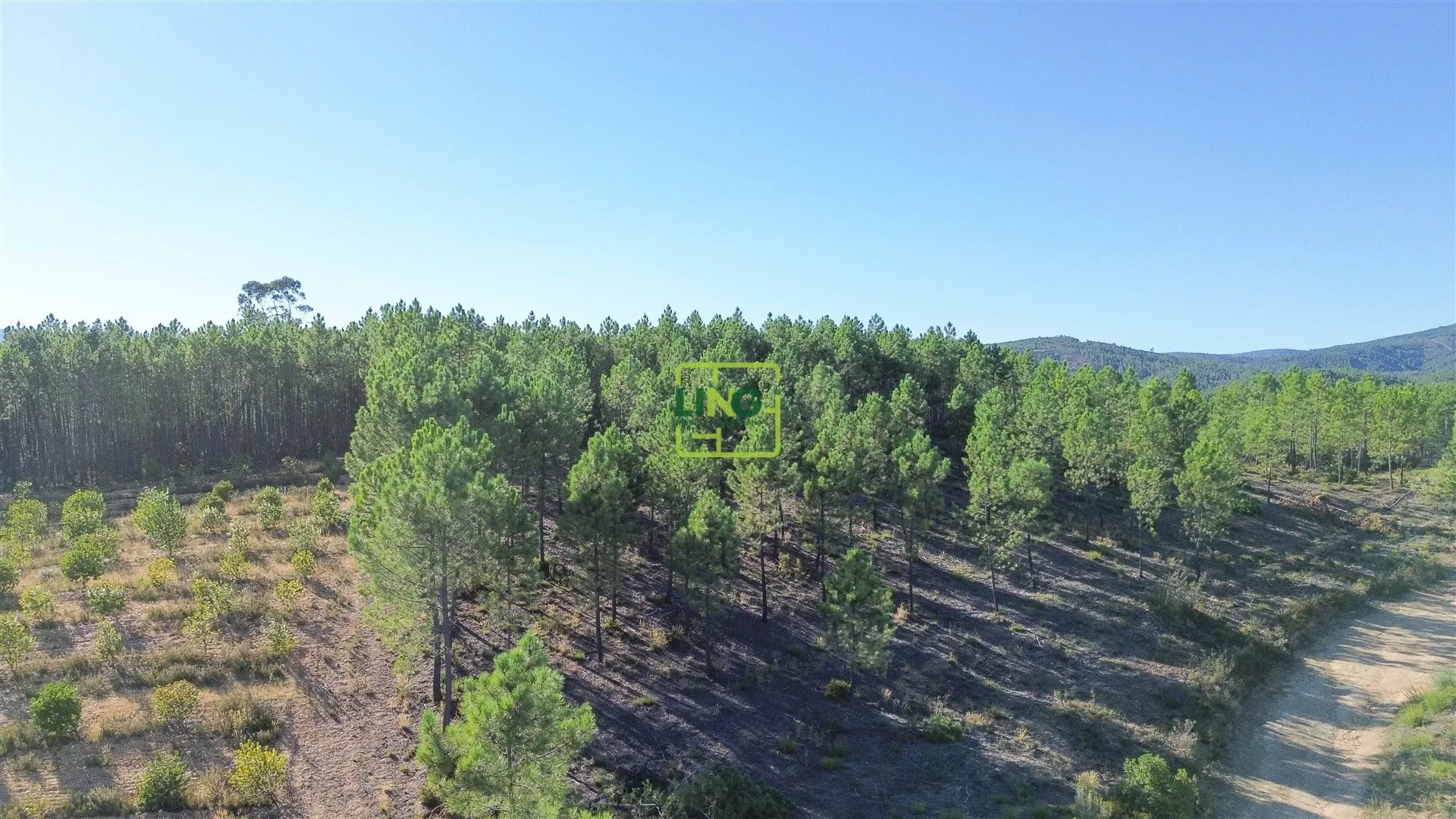 img_0