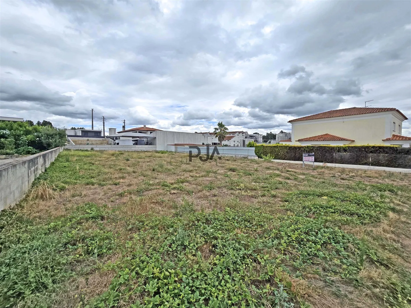 img_5