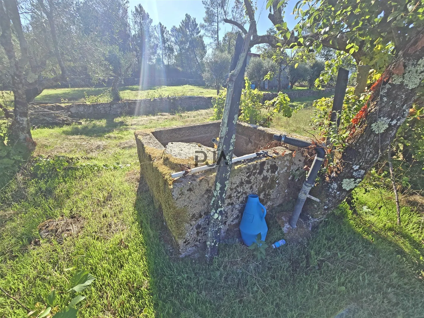 img_12
