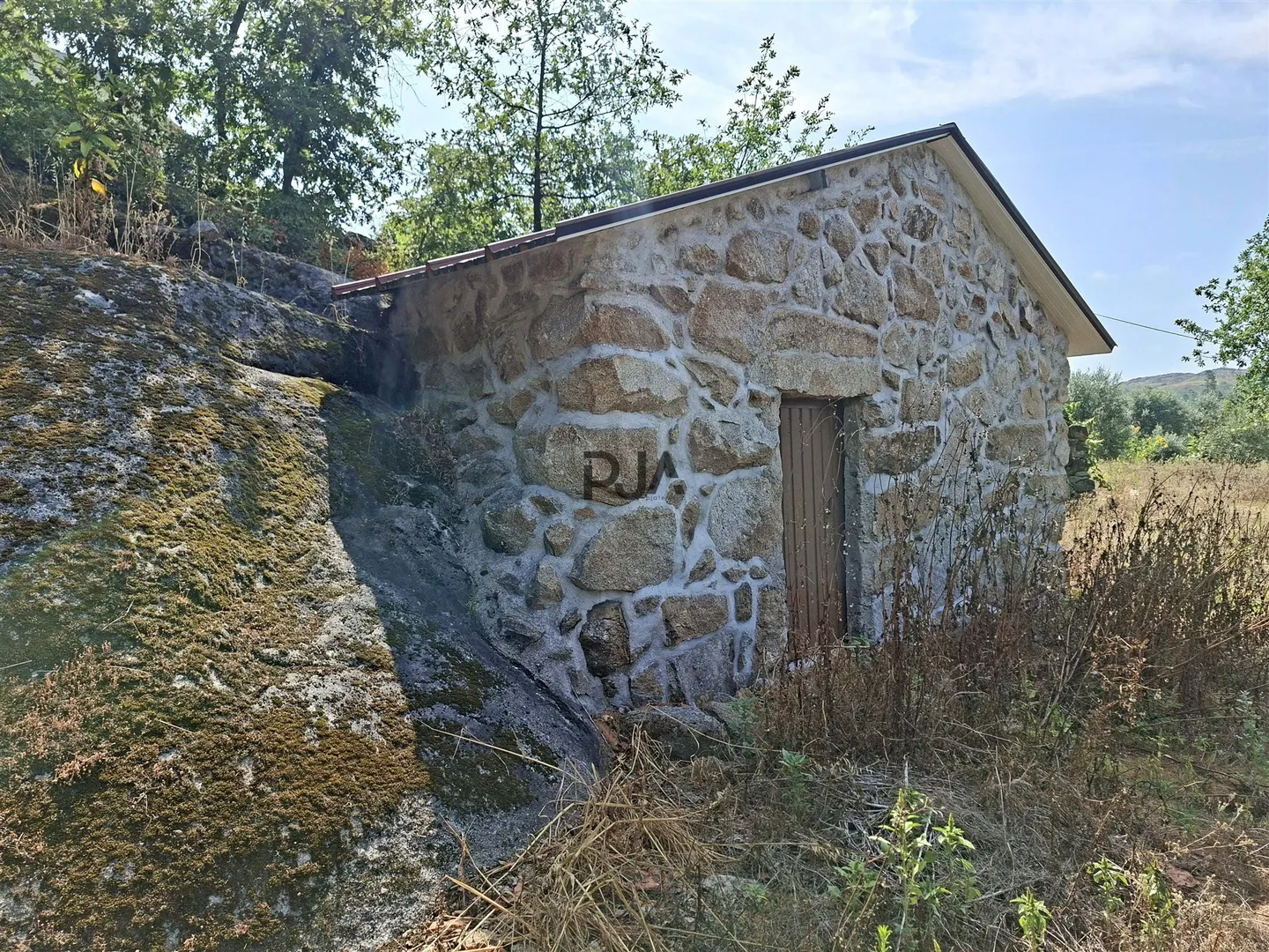 img_4