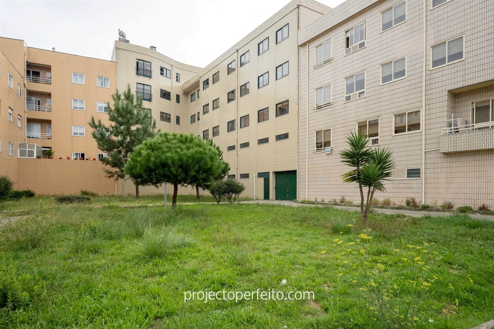 img_0