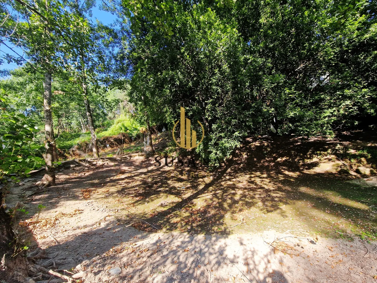img_40