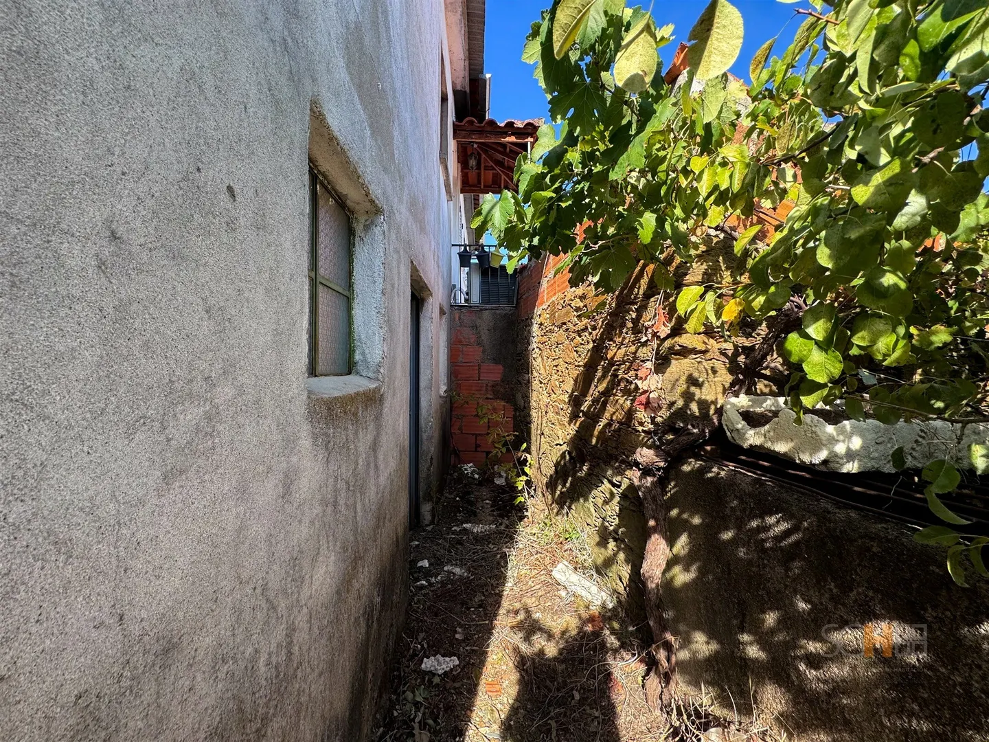 img_7
