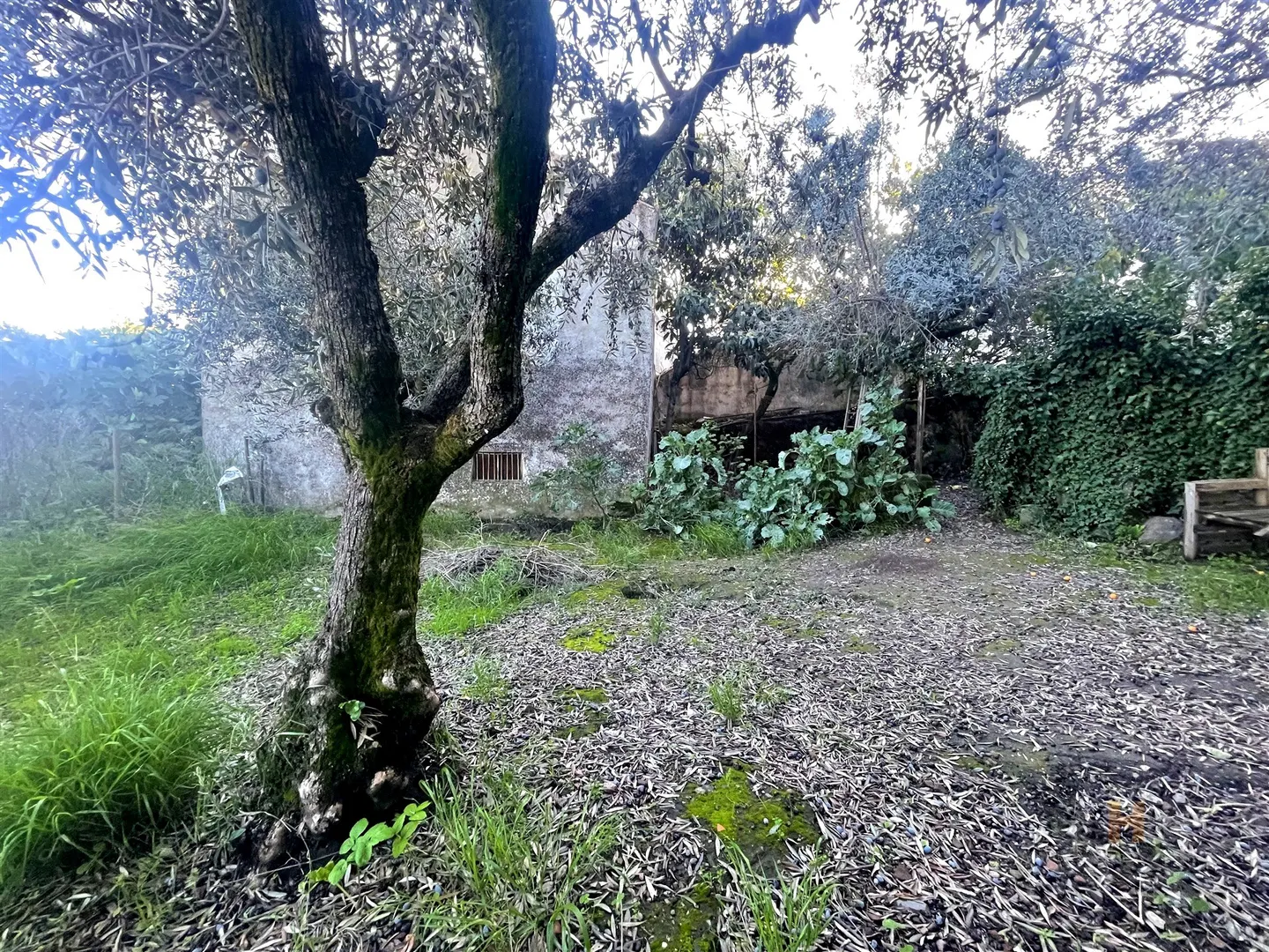 img_1