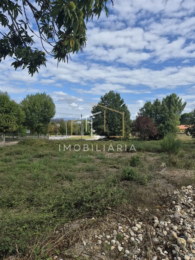 img_8
