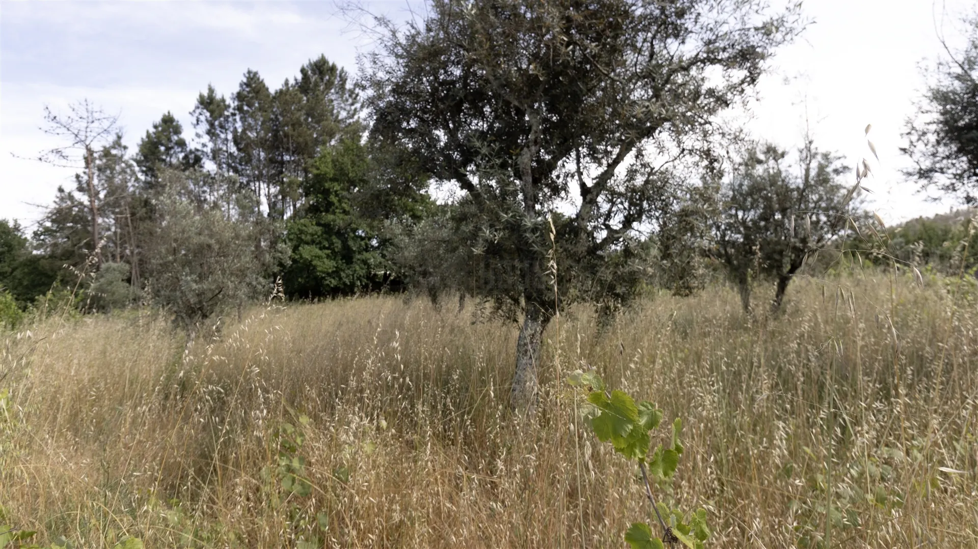 img_3