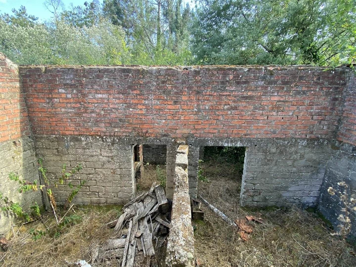 img_6