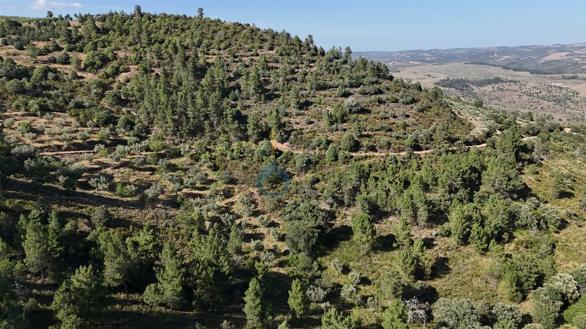 img_24