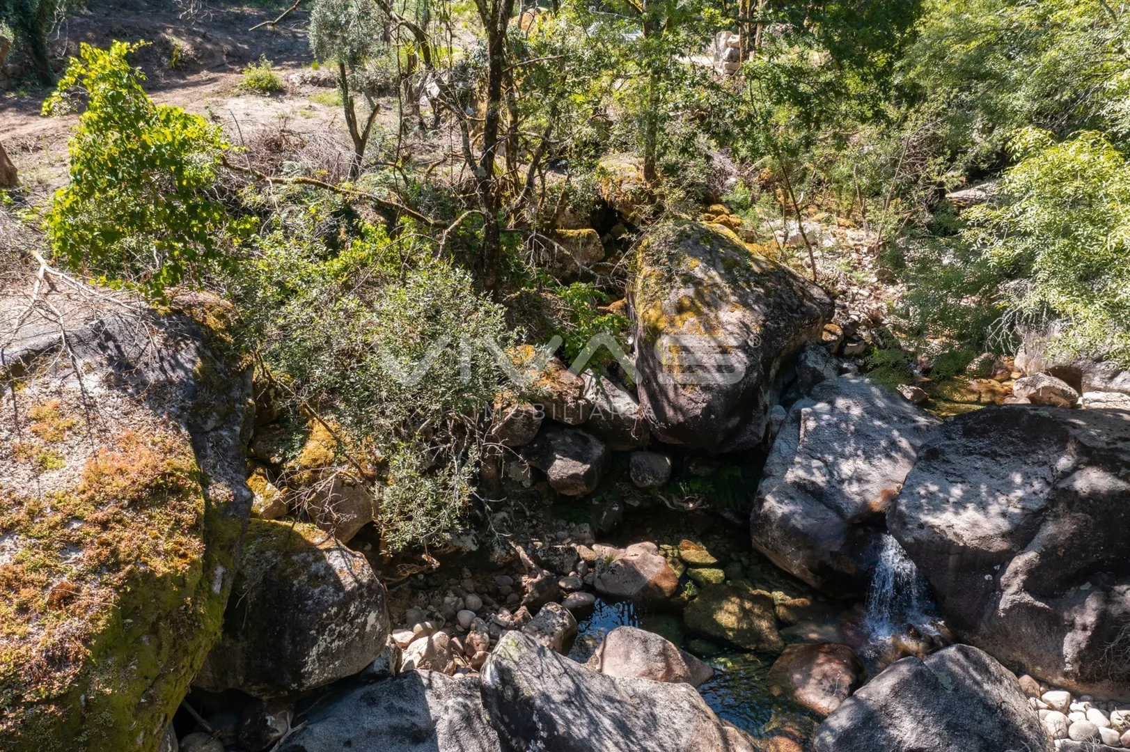 img_10