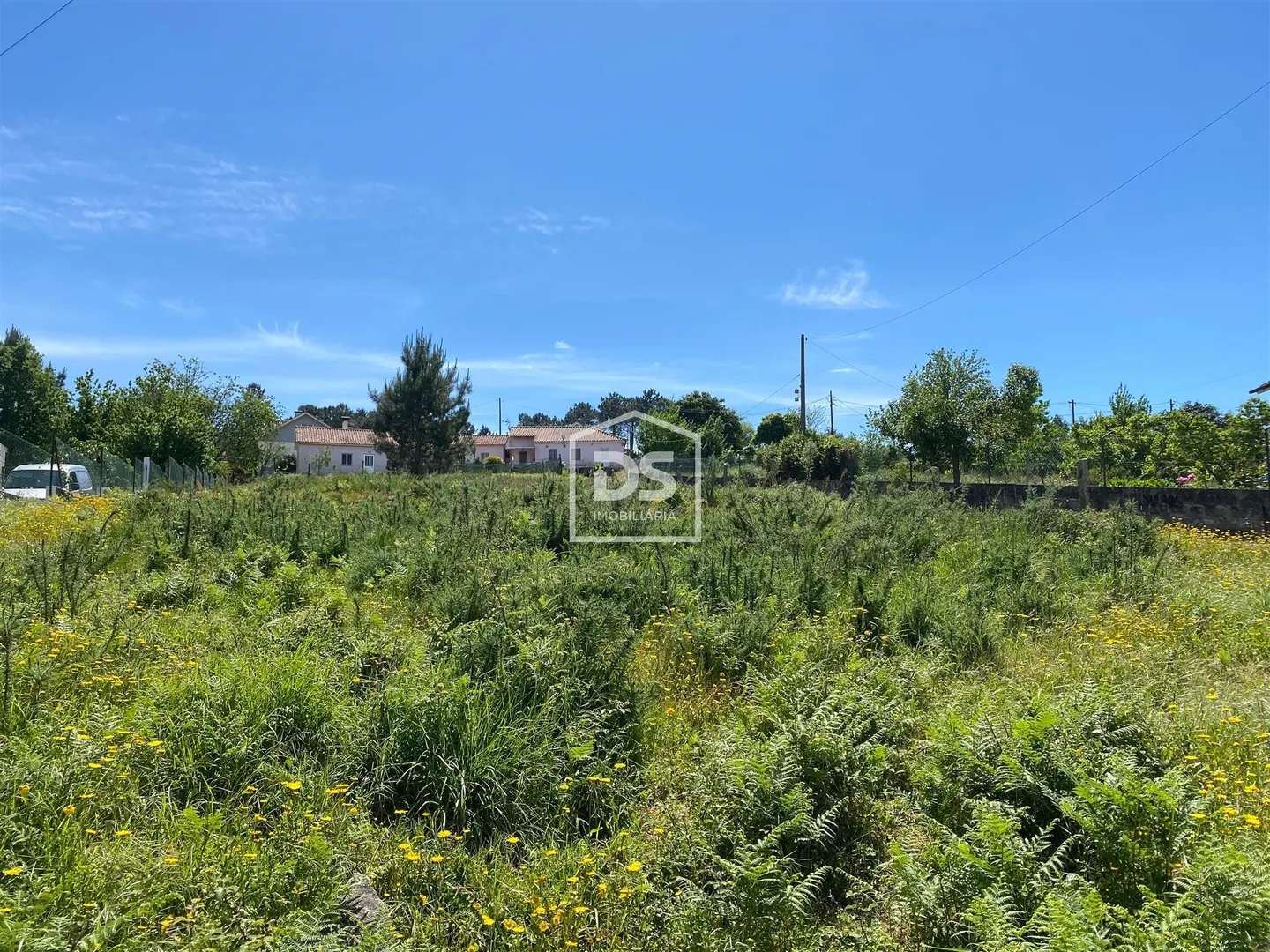 Real Estate building