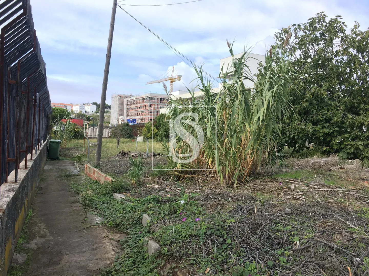 Terreno