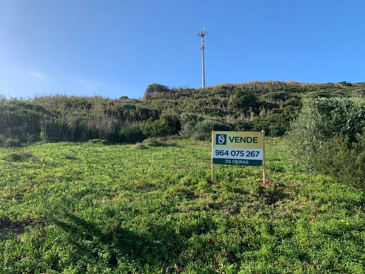 Terreno