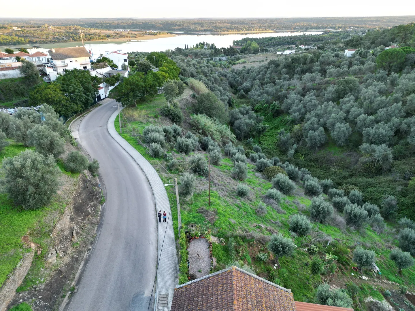 Terreno