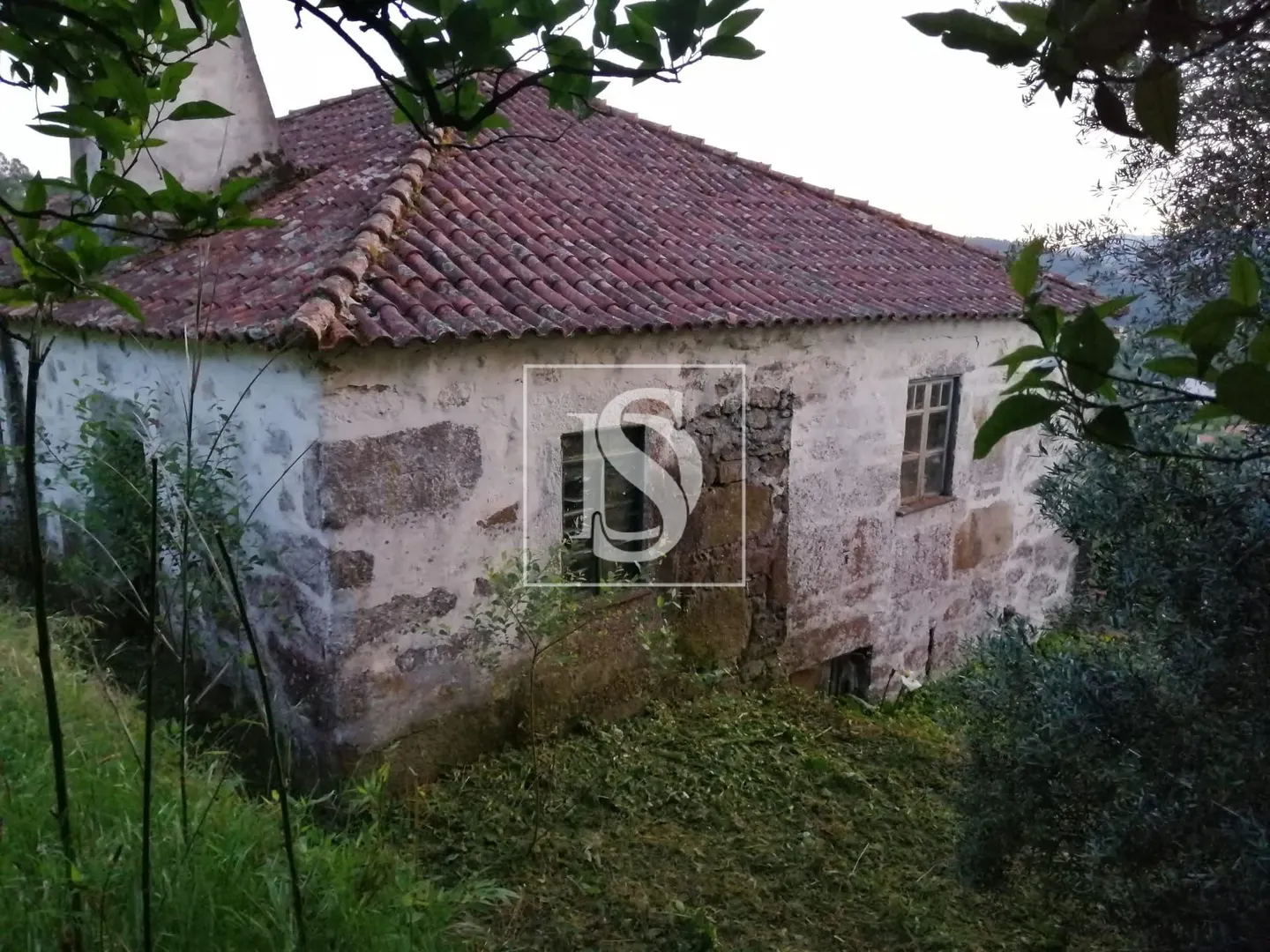 Quinta T2