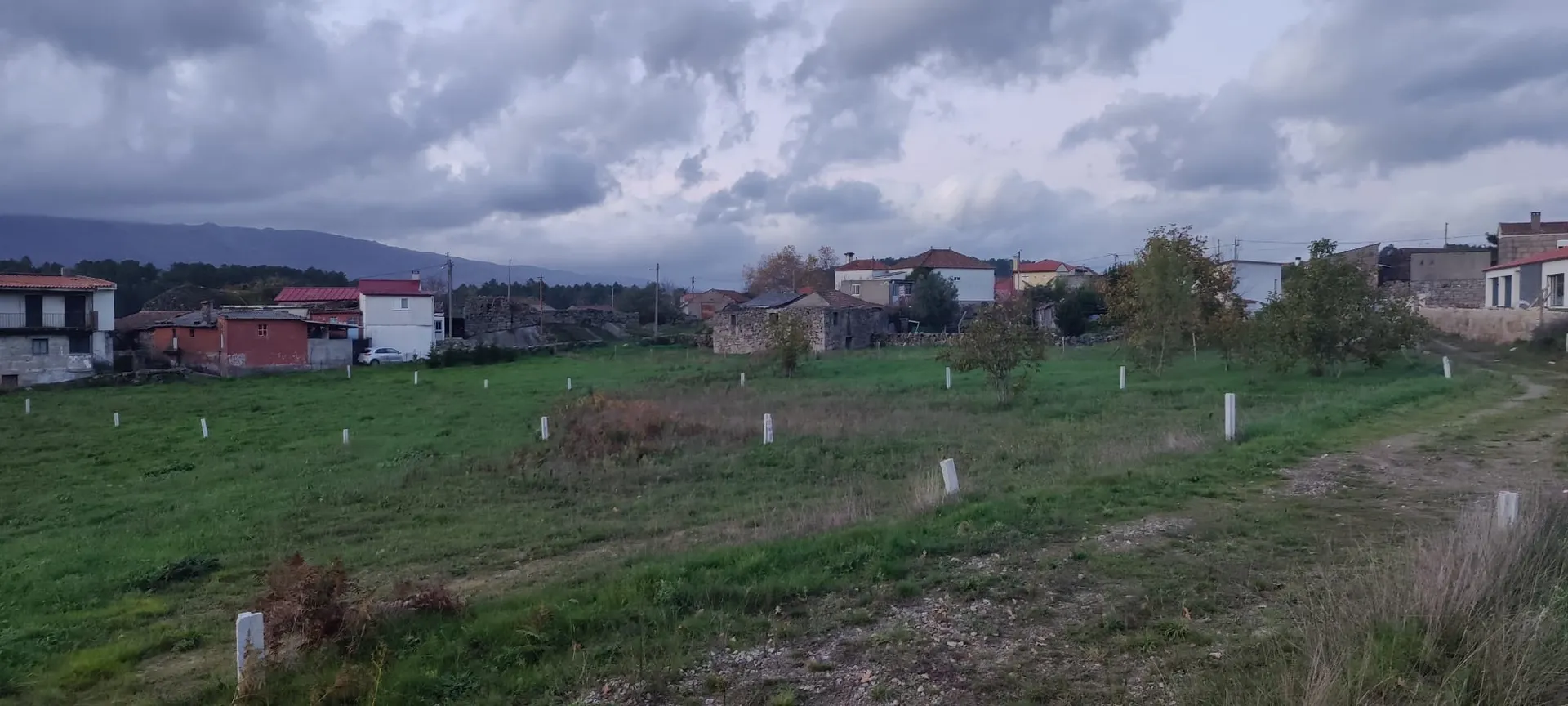 Terreno