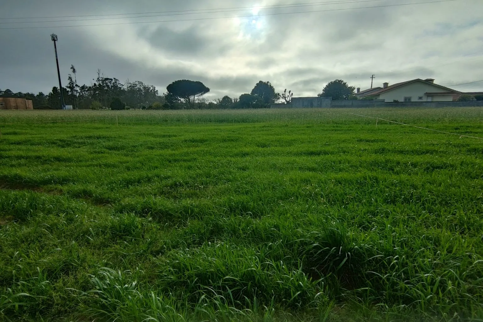 Terreno Rústico