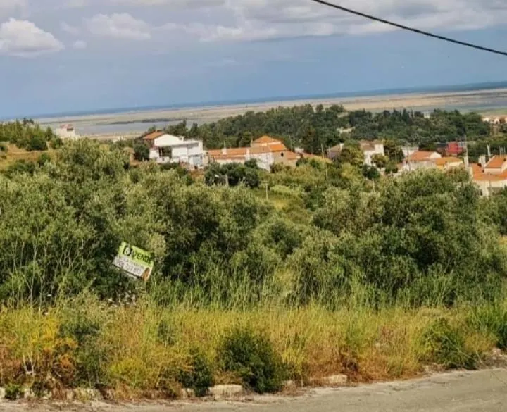 Terreno