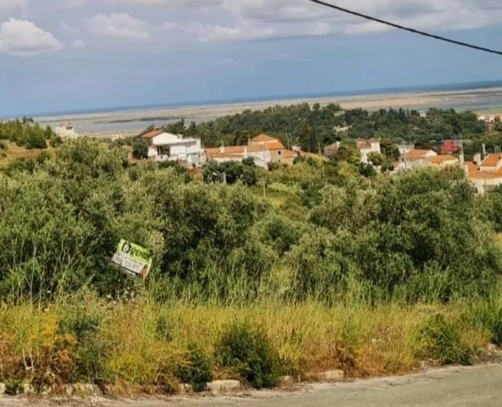 Terreno