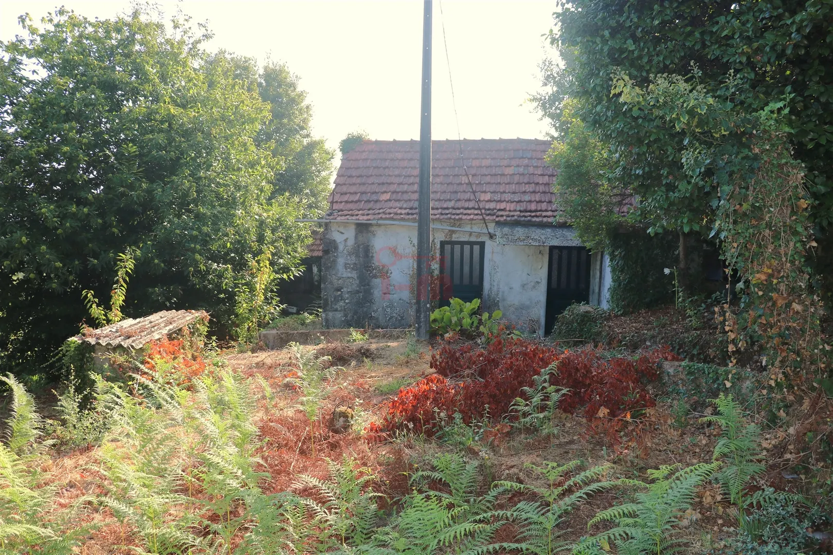 img_0