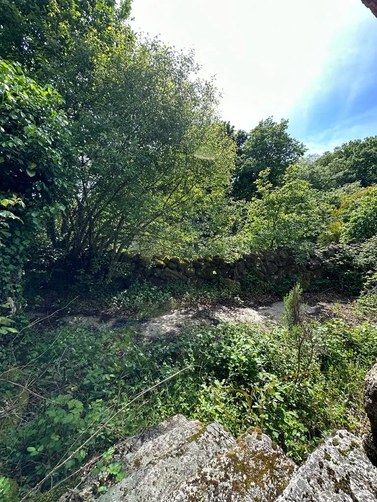 img_14