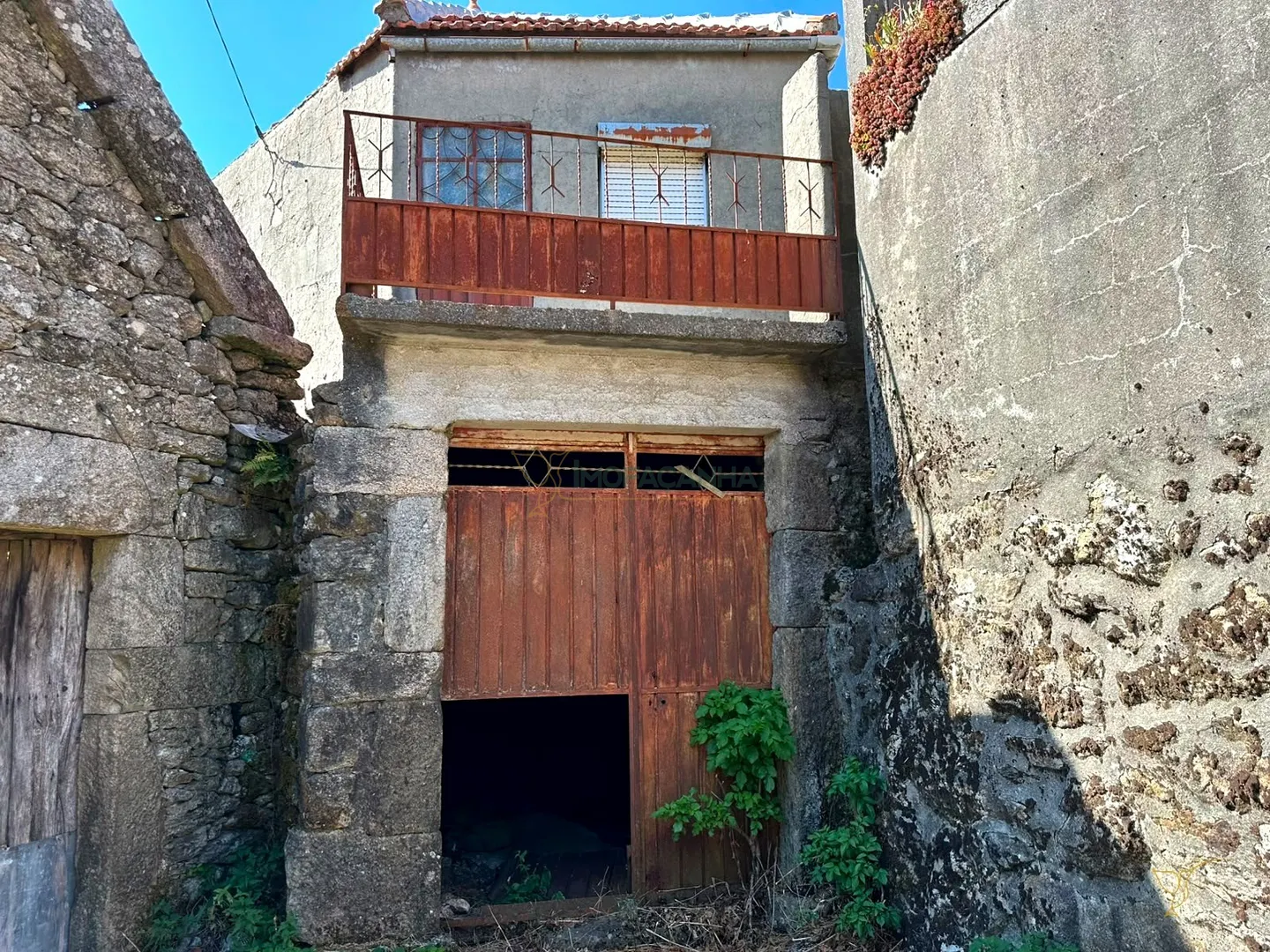 img_0