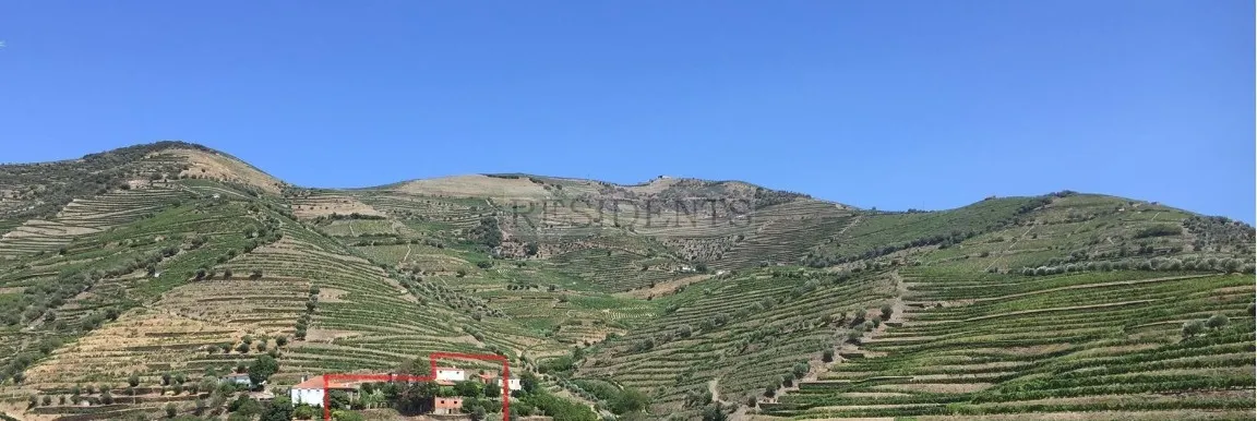 img_6