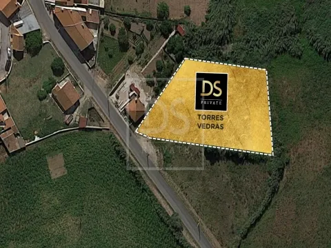 Real Estate