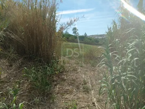 Terreno com 1.562 m² em Casal das Oliveiras | Proximidade à Ericeira e Excelente Potencial