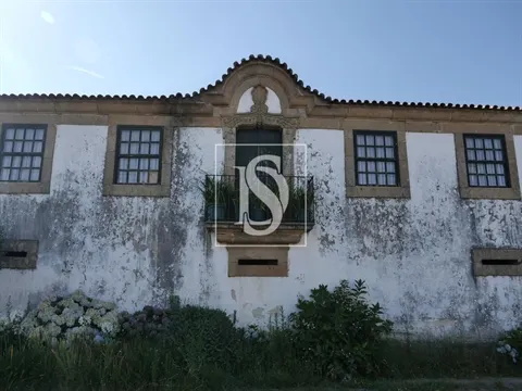 Quinta T3