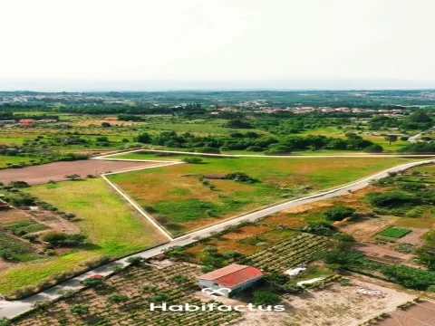 Quinta T2