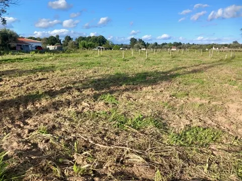 Terreno
