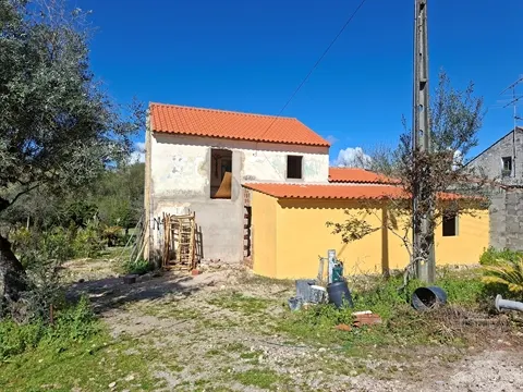 Quinta T5