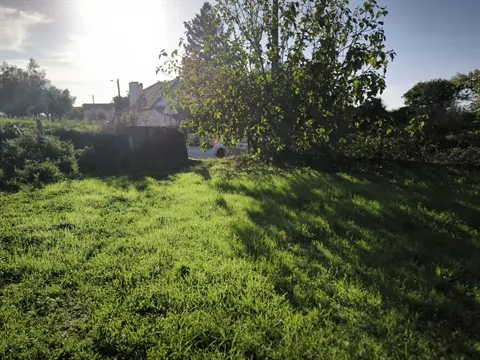 Terreno