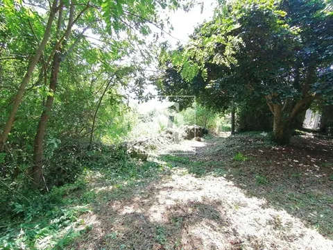 Quinta