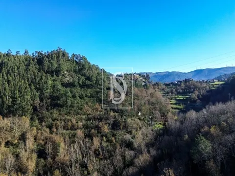 Quinta da Pinha em Bustelo - Amarante